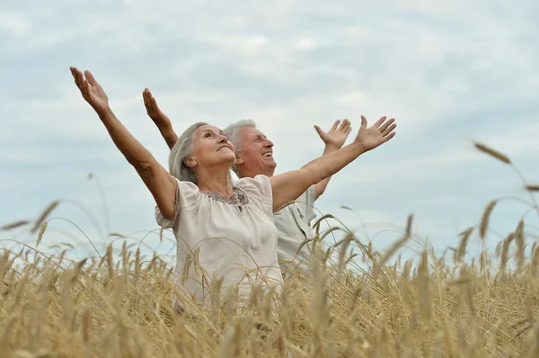 Gelukkige senior paar in de zomer — Stockfoto