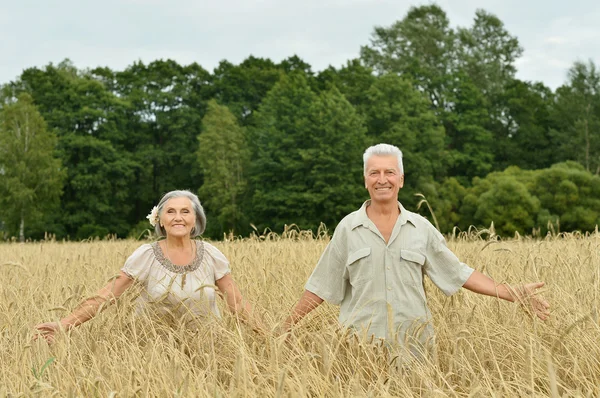 Heureux couple de personnes âgées en été — Photo