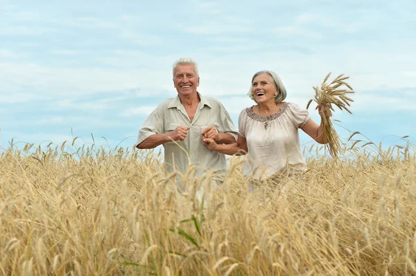 Heureux couple de personnes âgées en été — Photo