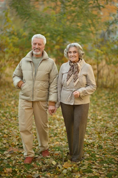 Couple sénior dans le parc d'automne — Photo