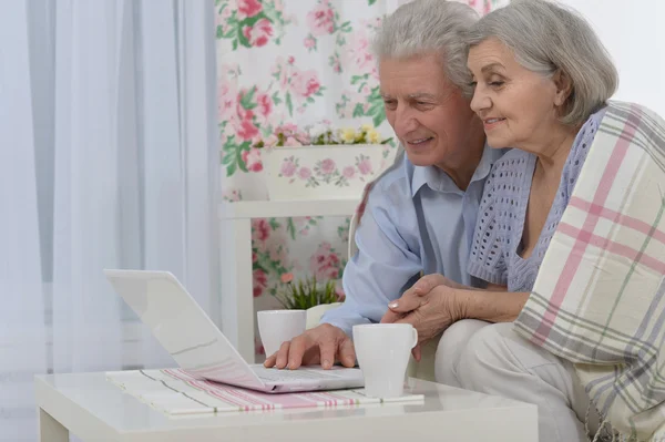 快乐的老夫妇，带着笔记本电脑 — 图库照片