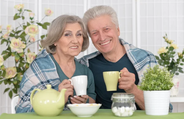 先輩夫婦がお茶を飲む — ストック写真