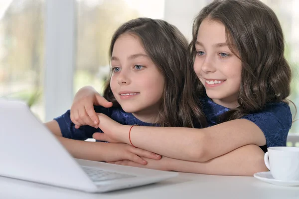 Pequenas meninas gêmeas usando laptop — Fotografia de Stock