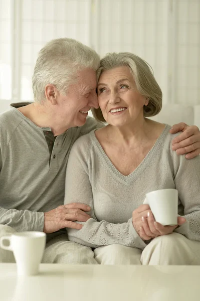 Happy Senior couple Stock Picture