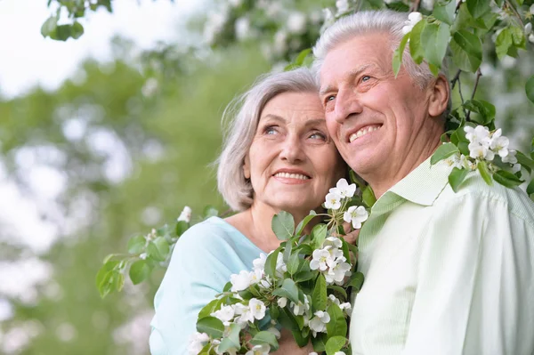 Beautiful senior woman outdoor — Stock Photo, Image