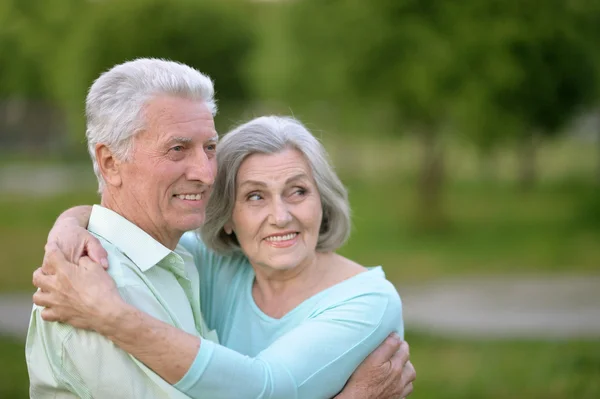 Äldre par i sommaren park — Stockfoto