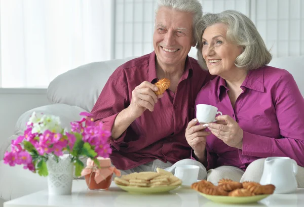 Çay içen yaşlı çift. — Stok fotoğraf