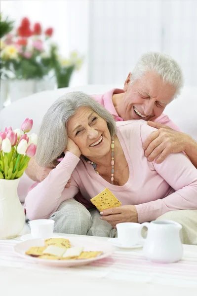 Oudere echtpaar drinken thee — Stockfoto