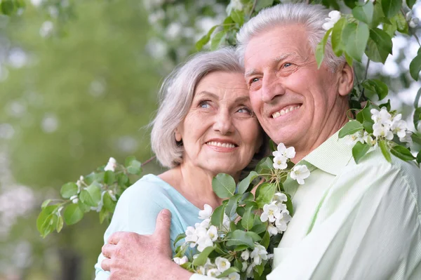 Couple d'âge mûr dans le parc de printemps — Photo