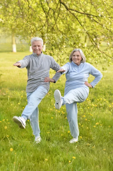 Fittes Senioren-Paar beim Training — Stockfoto