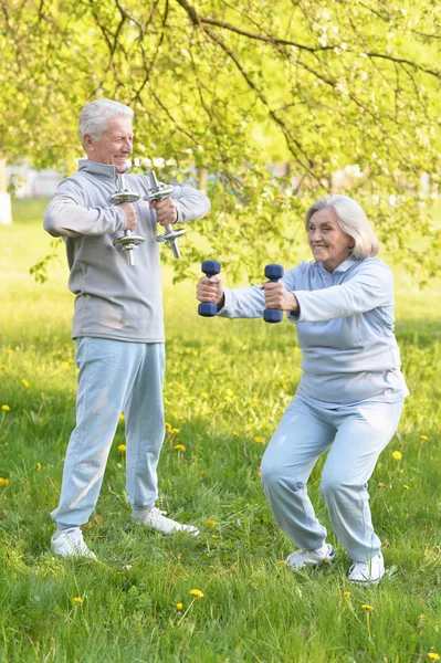 Passa äldre par utövar — Stockfoto