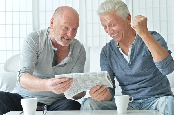 Two senior men with newspaper — Stock Photo, Image