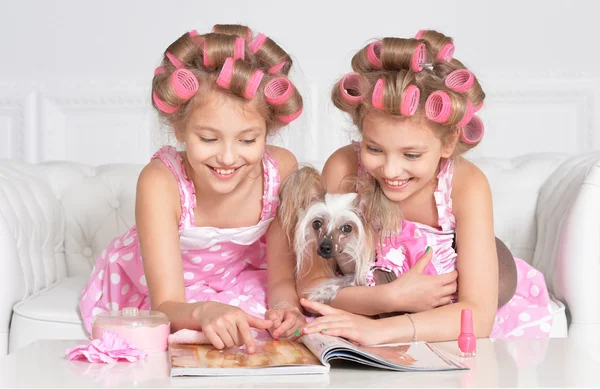 Ragazze tweenie in bigodini per capelli con cane — Foto Stock