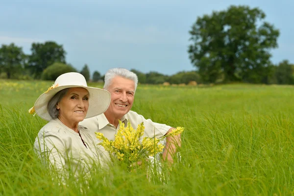 Couple sénior en champ d'été — Photo