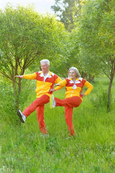 In forma coppia anziana esercizio — Foto Stock