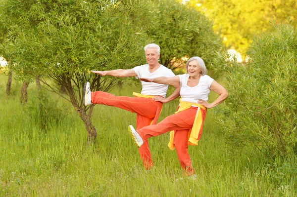 Ajuste o exercício de casal sênior — Fotografia de Stock