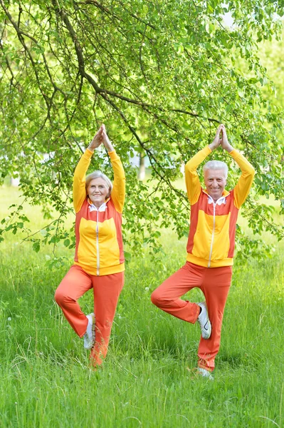 Coppia anziana praticare yoga — Foto Stock