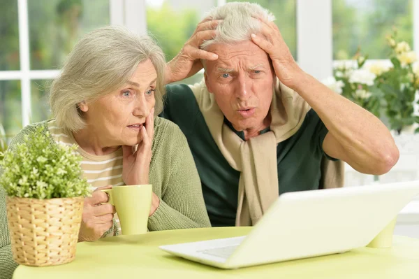 Senior couple  with laptop — Stock Photo, Image