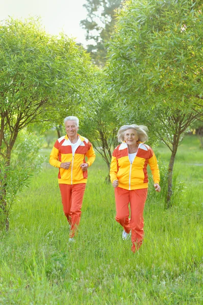 Glada äldre par i parken — Stockfoto