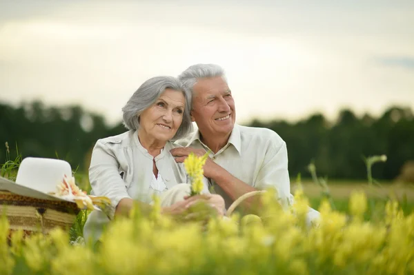 Cuplu senior în câmp de vară — Fotografie, imagine de stoc