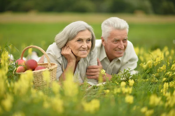 Senior couple  in summer field — Stock Photo, Image