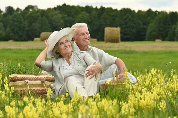 Старшая пара в летнем поле — стоковое фото