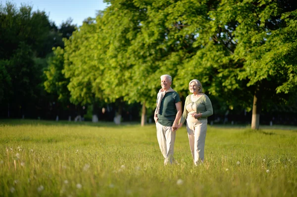 Couple d'âge mûr dans le parc de printemps — Photo