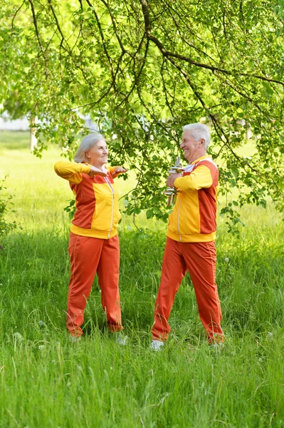 In forma coppia anziana esercizio — Foto Stock