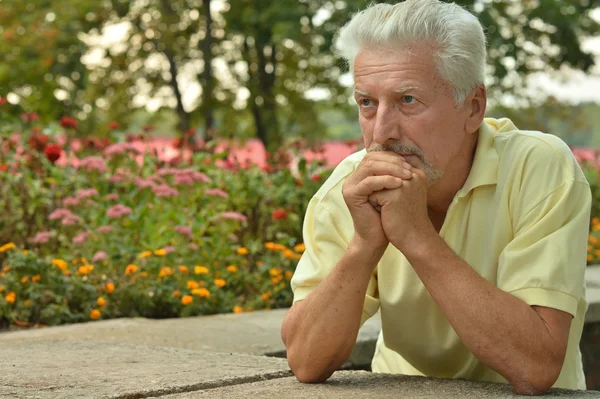 Senior man in zomer park — Stockfoto