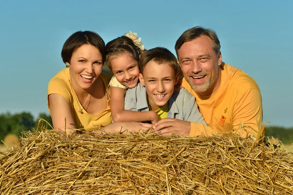 Gelukkige familie op veld — Stockfoto