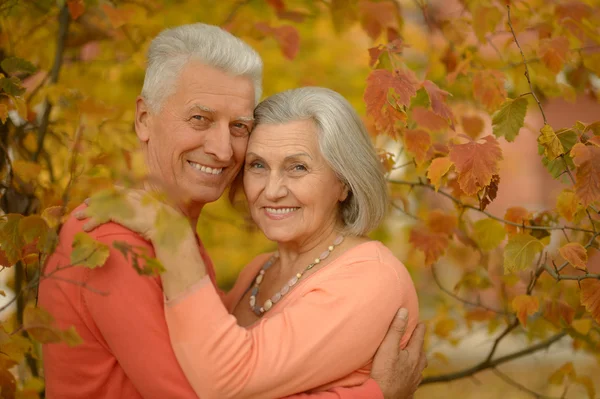 Senior par i höstparken — Stockfoto