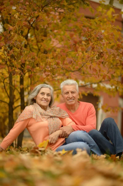 Seniorenpaar in herfstpark — Stockfoto