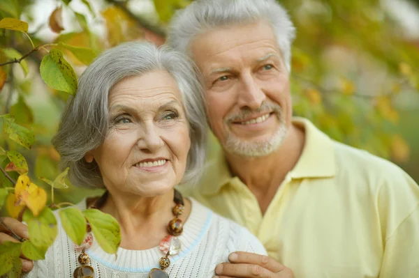 Ouder paar in voorjaar park — Stockfoto