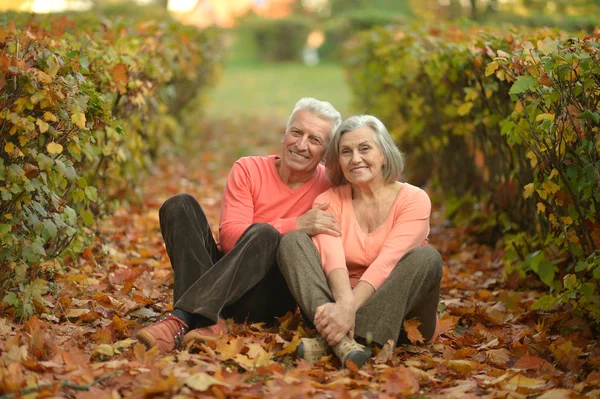 Pareja mayor en el parque de otoño — Foto de Stock