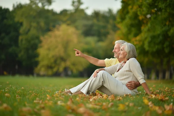 Couple d'âge mûr dans le parc de printemps — Photo