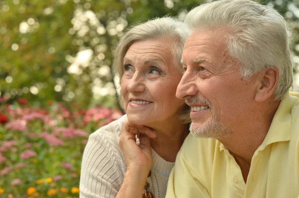 Mature couple in spring park — Stock Photo, Image