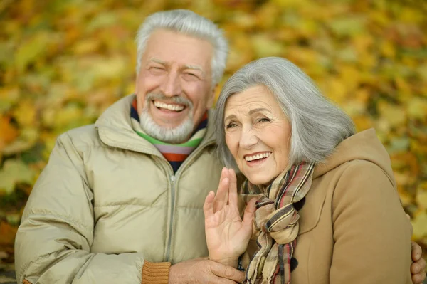 Senior couple in autumn park — Stock Photo, Image