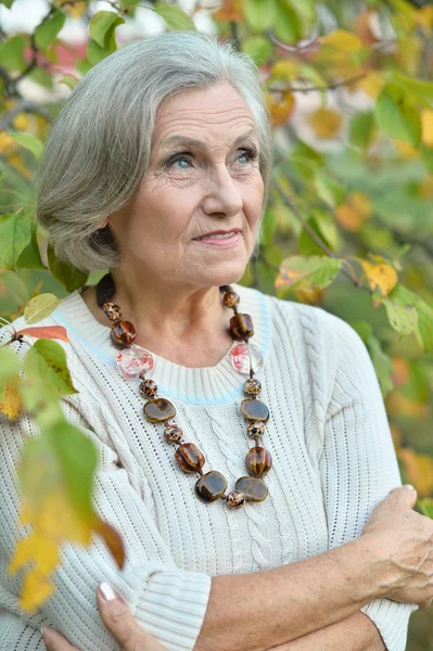 Senior kvinde i efteråret park - Stock-foto