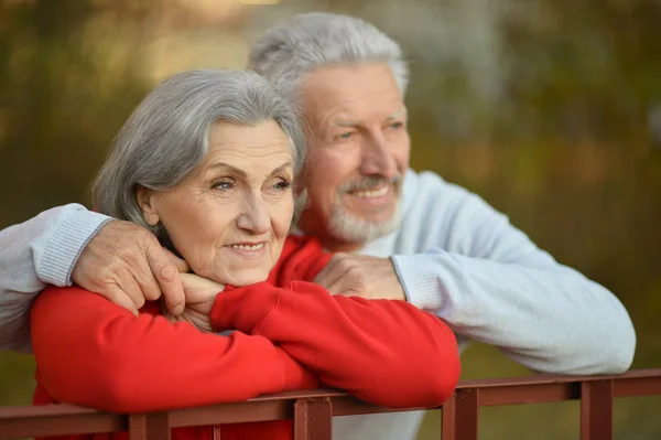 Senior couple in autumn park — Stock Photo, Image