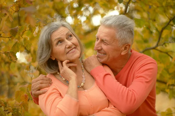 Pareja mayor en el parque de otoño — Foto de Stock