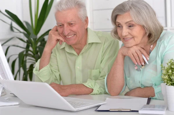 Happy senior couple with laptop — Stock Photo, Image