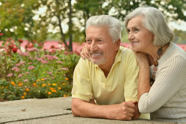 Mature couple in spring park — Stock Photo, Image