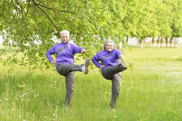Passa äldre par utövar — Stockfoto