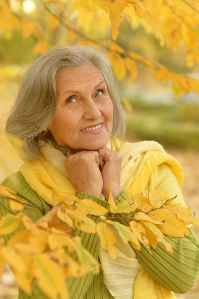 Senior woman in  autumn park — Stock Photo, Image