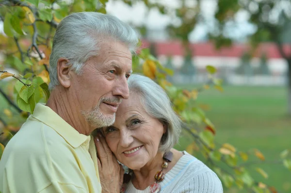 Mature couple in spring park — Stock Photo, Image