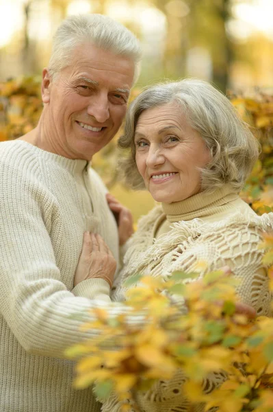 Starší pár v podzimním parku — Stock fotografie