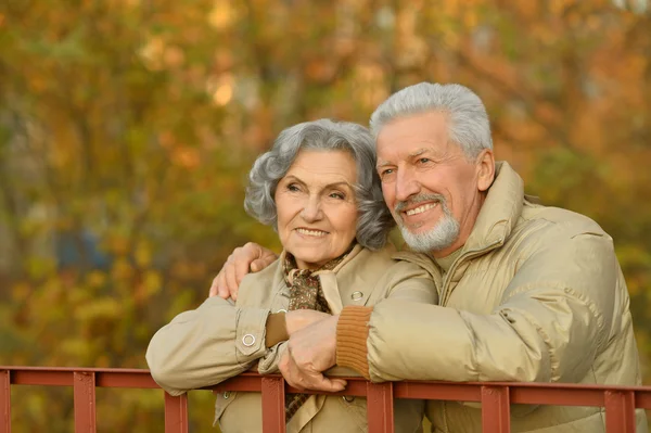 Senior couple in autumn park — Stock Photo, Image