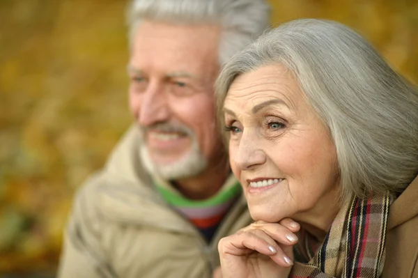 Senior par i höstparken — Stockfoto