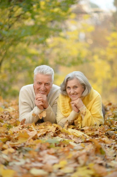 Autumn Park 'ta kıdemli bir çift — Stok fotoğraf