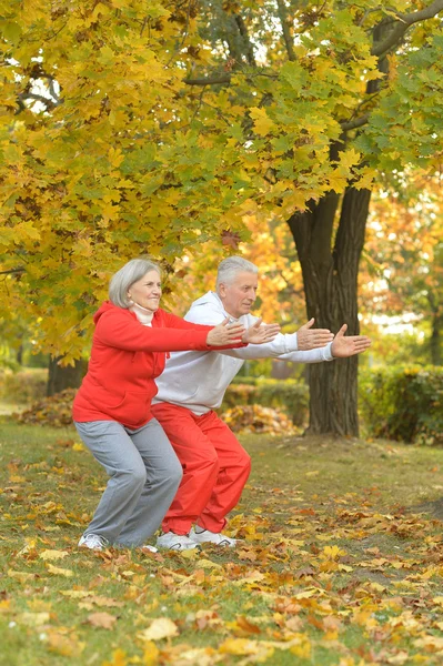 Passa äldre par utövar — Stockfoto